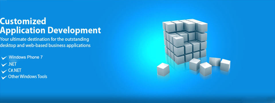 Customized 
Application Development